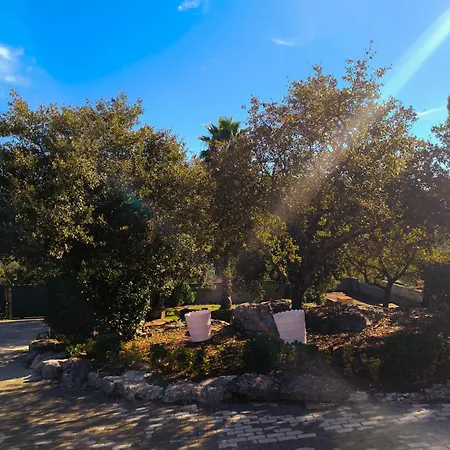 Gasthuis Casa Tertulia Covao do Coelho