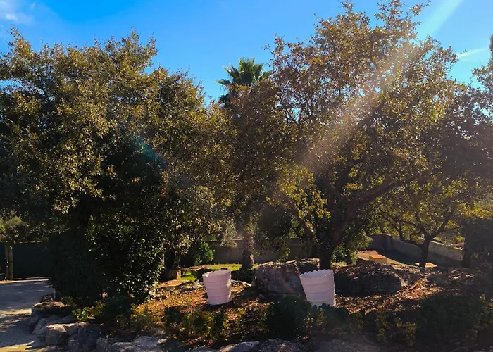 ゲストハウス Casa Tertulia Covão do Coelho